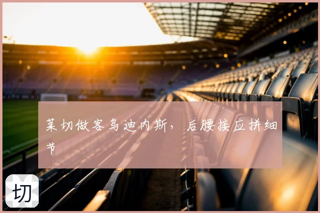 莱切做客乌迪内斯,后腰接应拼细节